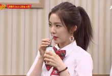 20170717 redvevlet 4 3