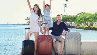 아메리칸 투어리스터