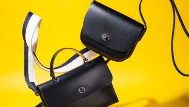 20180112 mandarinaduck 1 compressor 2