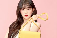 레드벨벳 아이린