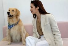 20191023 itmichaa 02 4