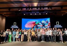 더네이쳐홀딩스, 디즈니와 내셔널지오그래픽 소비재 사업 진출 8 20220614 thenature 2 5