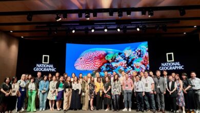 더네이쳐홀딩스, 디즈니와 내셔널지오그래픽 소비재 사업 진출 7 20220614 thenature 2 4