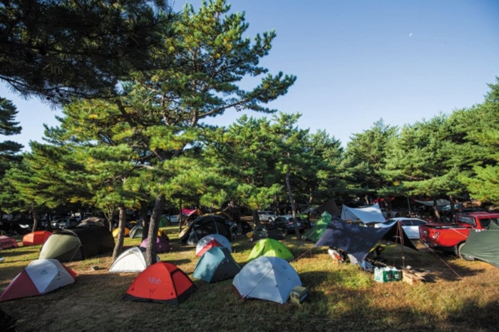 대한민국 최고의 캠핑 페스티벌 ‘고아웃 캠프’ 개최 | 2