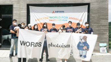 예일펫케어활동 유기견보호