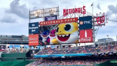 해외를 홀리다, K-컬쳐를 이끄는 주역들 6 K-컬쳐