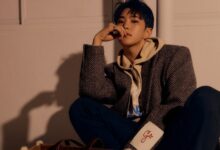 세븐틴호시골든구스화보