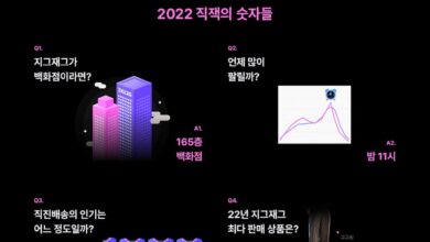 지그재그, 2022년 연말 결산 콘텐츠 공개 | 5