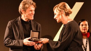 다미아니타오르미나영화제후원