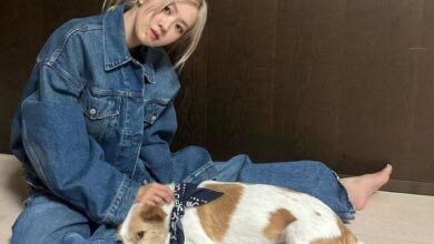 욕심내 볼 만한 촌스럽지 않은 청청 패션 10 로제패션촌스럽지않은청청패션