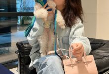 한효주청청패션한효주데일리룩