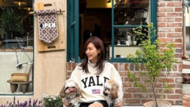 스타일과 편안함 모두 갖춘 바이커 쇼츠 스타일링 5 채정안바이크쇼츠스타일링채정안패션