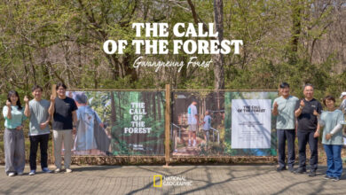 더네이쳐홀딩스, 국립수목원과 ‘특별한 숲속 전시회’ 개최 5 국립수목원전시회더네이처홀딩스네셔널지오그라피