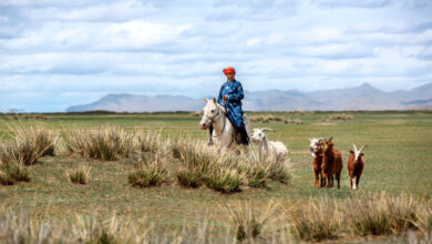 로로피아나공존의실프로젝트