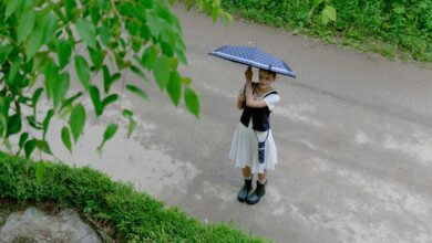 중장년 전유물에서 MZ 필수템으로… 양산의 화려한 귀환 9 장마대비패션아이템우양산