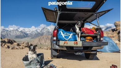 파타고니아블랙홀컬렉션