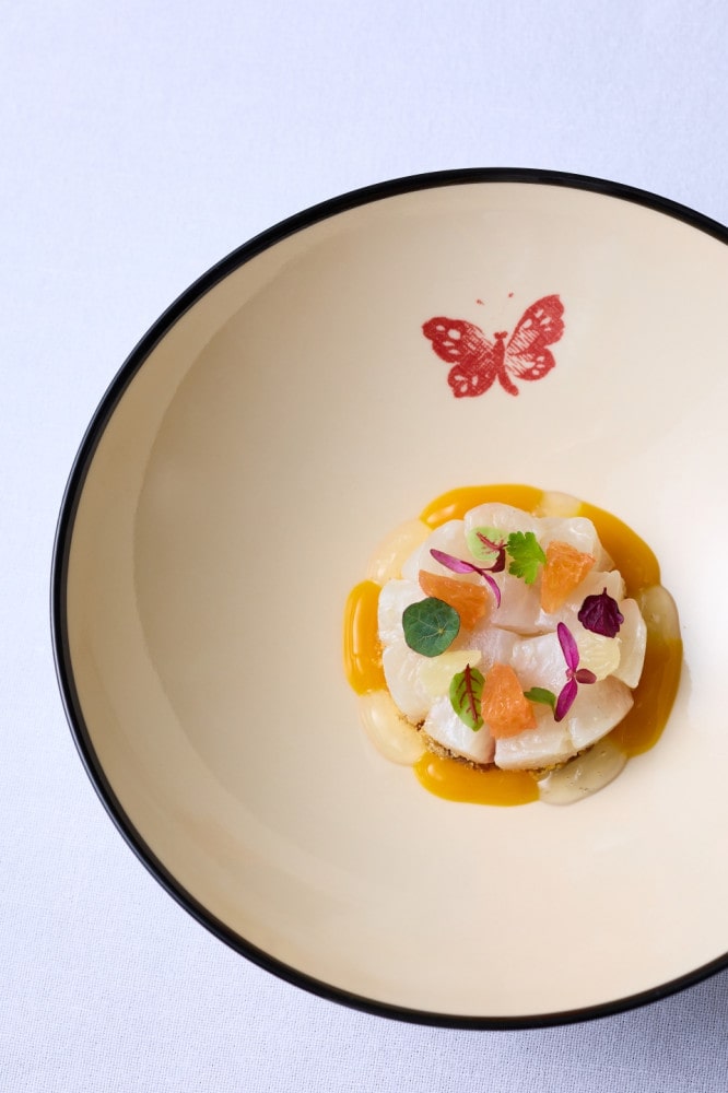 구찌 오스테리아 서울, 청담에서 리뉴얼 오픈 5 20250902 gucci 5 5