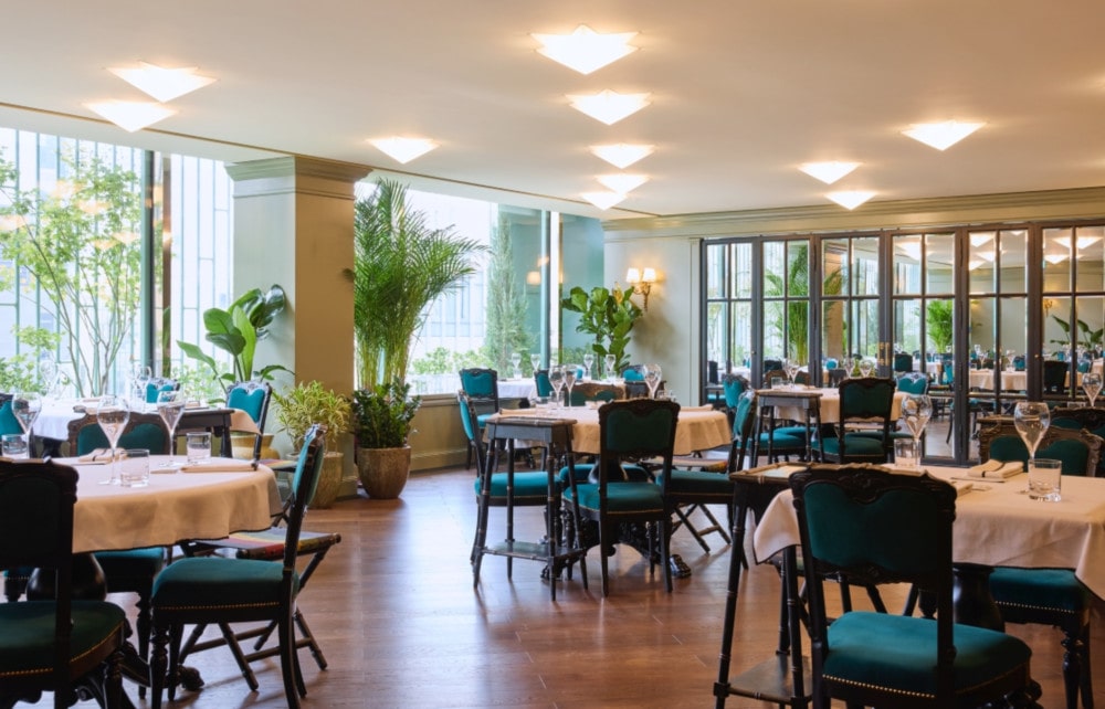 구찌 오스테리아 서울, 청담에서 리뉴얼 오픈 1 20250902 gucci 8 1