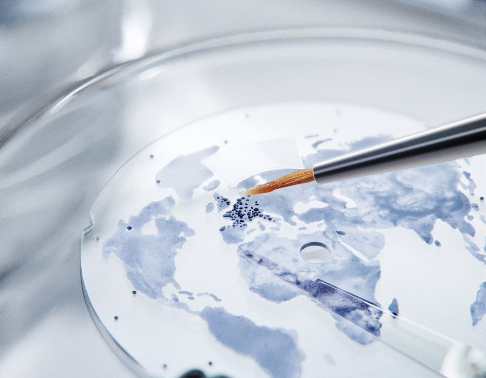 20250912 BREGUET 1 5