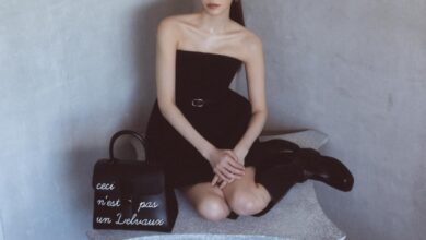 고현정화보고현정델보브리앙백