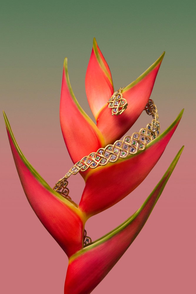 부첼라티, ‘에뚜왈레 컬러 & 미니’ 공개 5 20251017 Buccellati 1 5