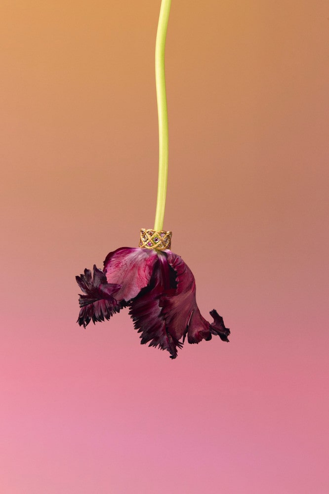 부첼라티, ‘에뚜왈레 컬러 & 미니’ 공개 1 20251017 Buccellati 5 1