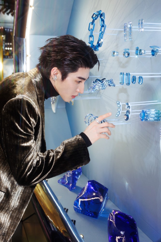 20251030 Swarovsk 2 5