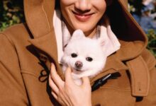 엄태구화보엄태구마리떼프랑소와저버