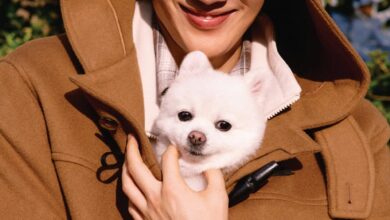 엄태구화보엄태구마리떼프랑소와저버