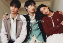 세터라코스테협업