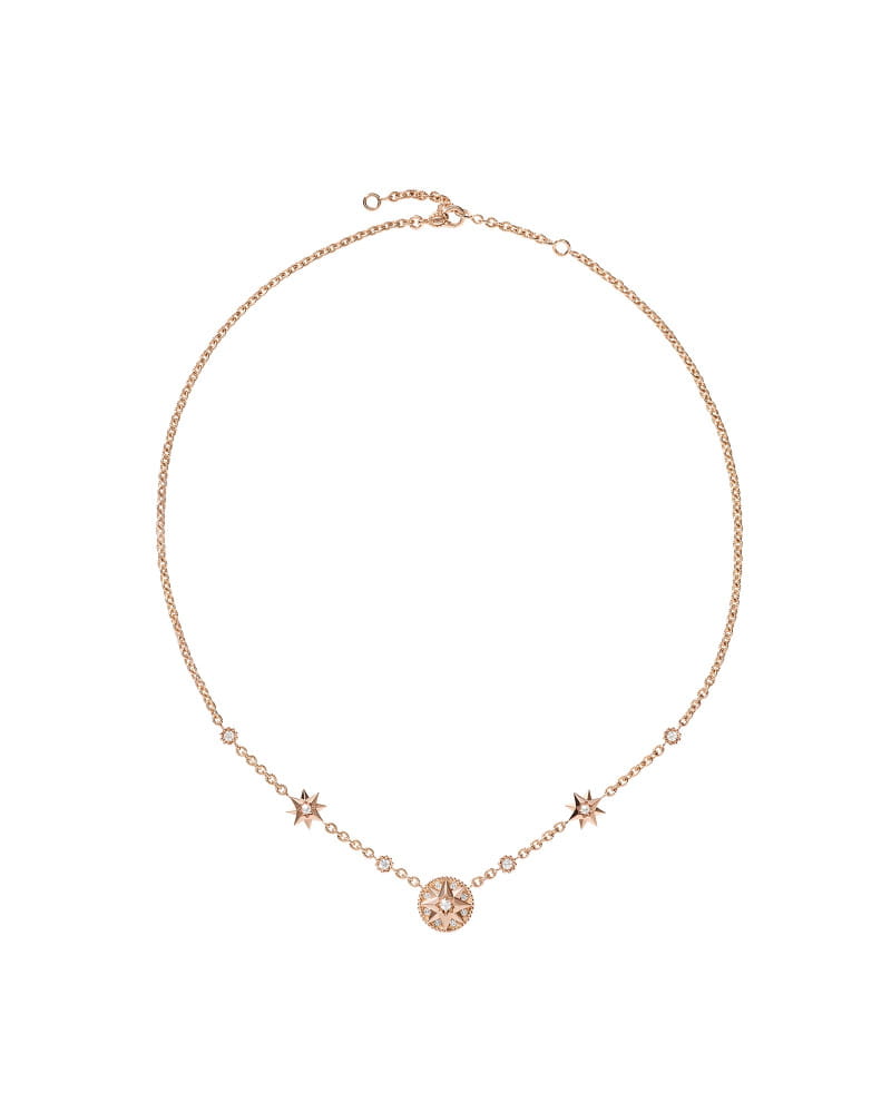 20260127 dior Rose des Vents 1 1