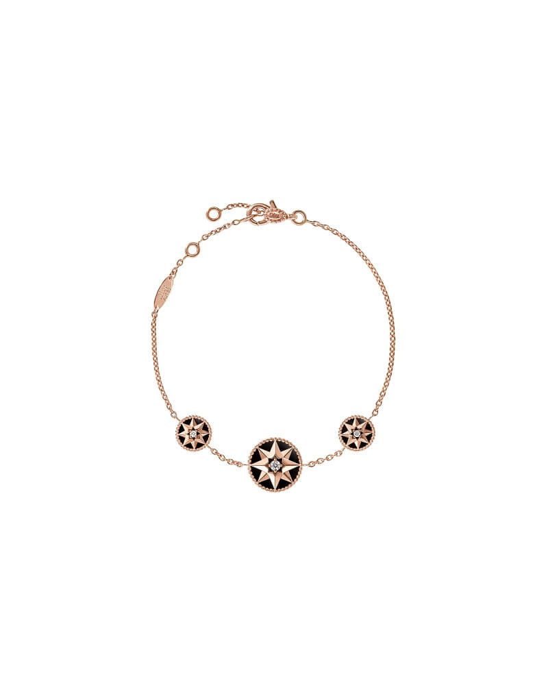 20260127 dior Rose des Vents 8 8