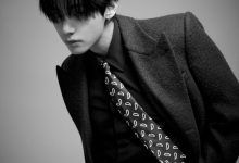 뷔셀린느방탄소년단뷔