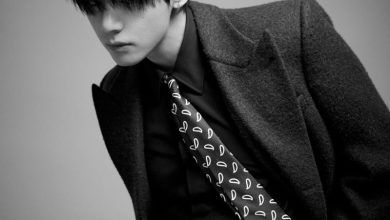 뷔셀린느방탄소년단뷔