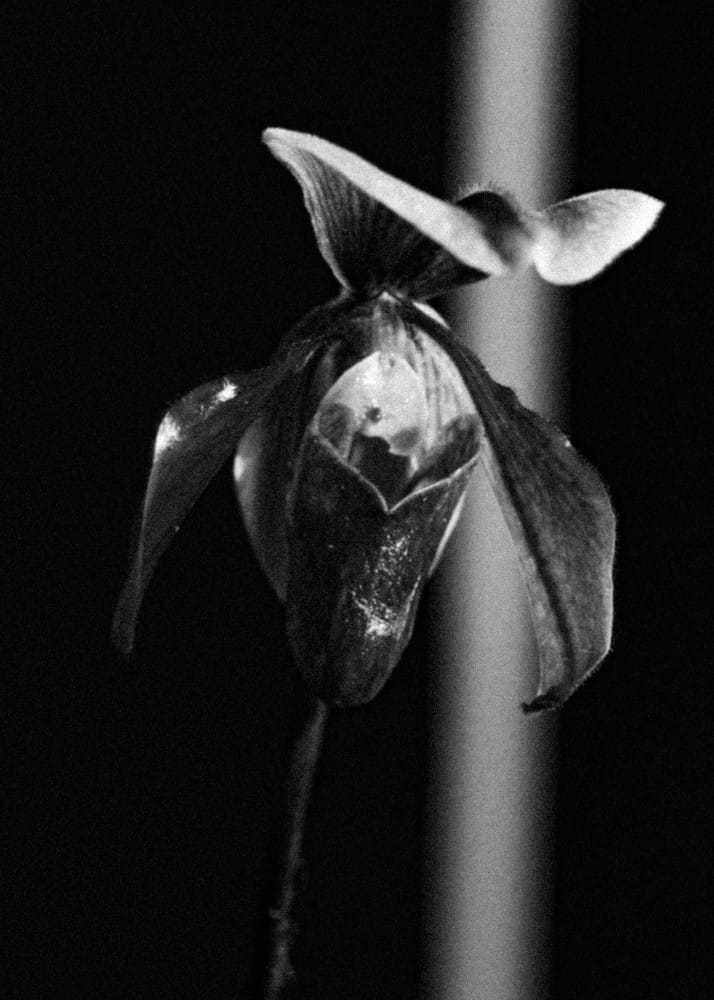 20260323 Repetto 5 7