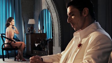 자라 X 윌리 차바리아