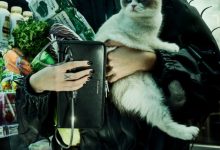 알렉산더왕사에렌백