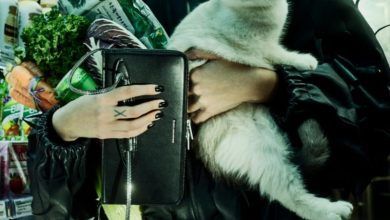 알렉산더왕사에렌백