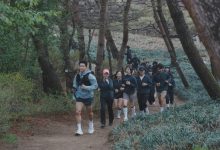 티톤브로스하이브리드러닝