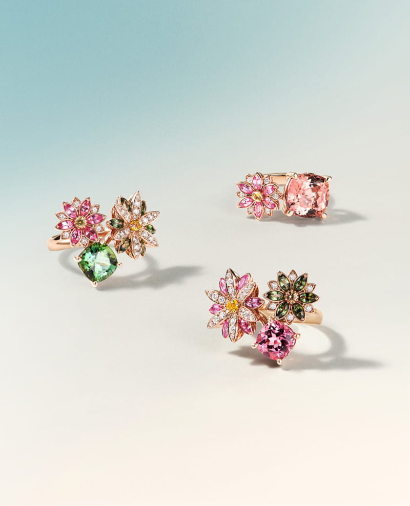 20260424 goldendew 3 4