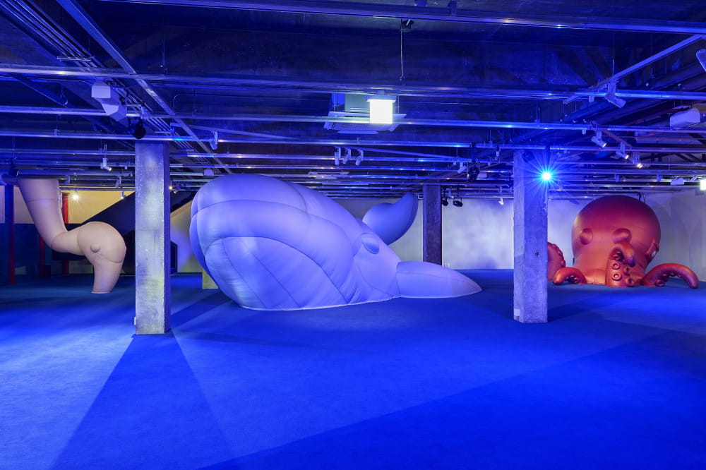 20260430 moncler 5 5