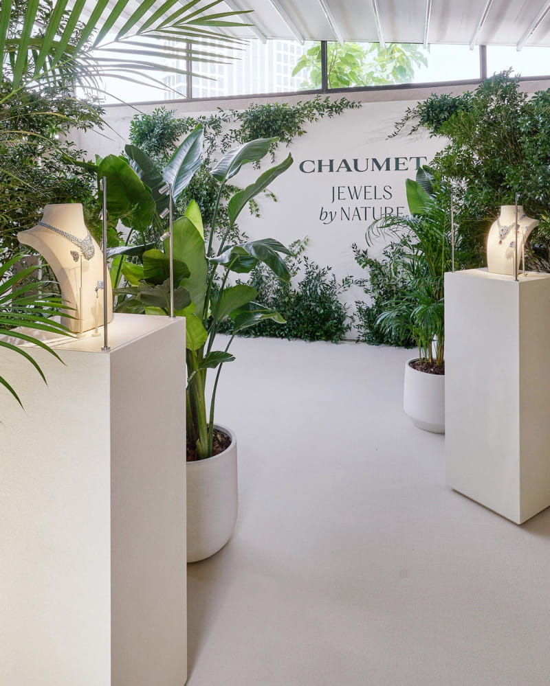 20260527 Chaumet 1 1 5