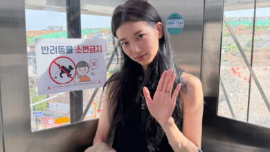 수지패션배수지셀린느