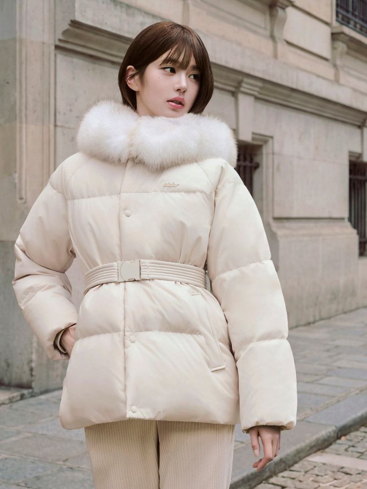 20260907 eider 4 6